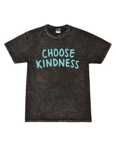 Teal CHOOSE KINDNESS: Printed T-Shirt